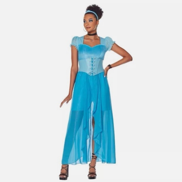 Spirit Halloween Disney Princesses Adult Cinderella Dress Costume Sz L - Picture 1 of 6